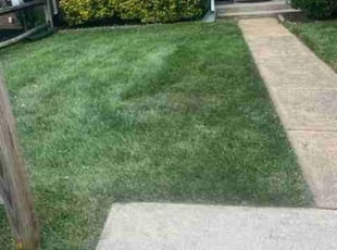 John S.'s Lawn Mowing service result