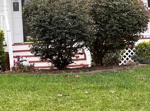 Bush Trimming by LaWanda Moses for Sharifa W. in Midlothian, VA