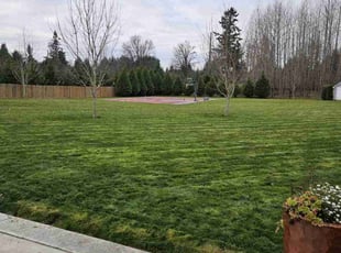 Kin L.'s Lawn Care service result