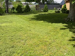 Nick S.'s Lawn Care service result