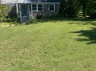 Laura D.'s Lawn Care service result