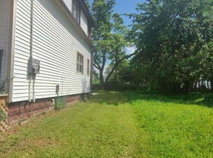 Leaf Removal by Randy Scott for Terri J. in Milwaukee, WI