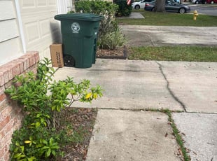 Bush Trimming by Calvin Williams for Grace P. in Jacksonville, FL
