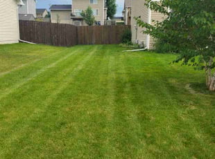 Todd B.'s Yard Cutting service result