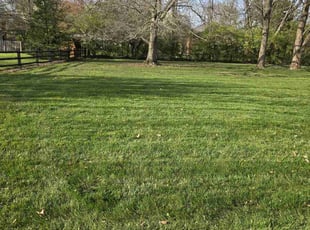 Johnnie Y.'s Lawn Maintenance service result