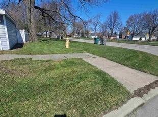 Sandra J.'s Lawn Mowing Service service result
