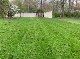 Marci G.'s Lawn Mowing Service service result