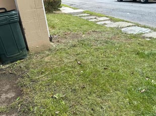 Leaf Removal by Darlyn Peguero for Joseph E. in Scranton, PA