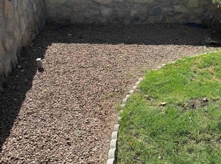 Leaf Removal by Michael Watters for Michael D. in El Paso, TX