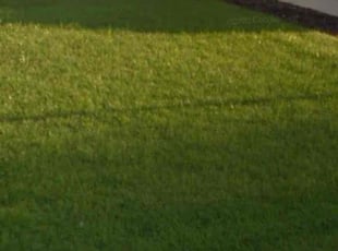 Gregg F.'s Lawn Mowing service result