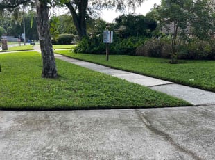 Doug L.'s Lawn Service service result
