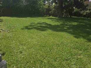 Mallory B.'s Lawn Service service result