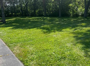 Melissa S.'s Lawn Care service result