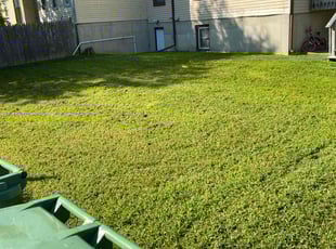 Clarence W.'s Lawn Care service result