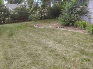 Weeding by Rick Mallett for Melissa W. in Fort Collins, CO