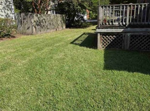 Phyllis T.'s Lawn Mowing Service service result