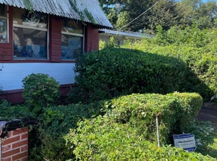 Bush Trimming by Calvin Williams for Mark F. in Jacksonville, FL