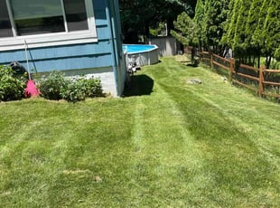 Laura L.'s Lawn Maintenance service result