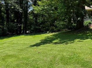 James B.'s Lawn Mowing Service service result