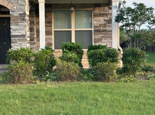 Weeding by Fred Thompson for Chris H. in McDonough, GA