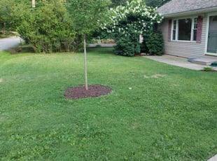 Kayla B.'s Yard Cutting service result