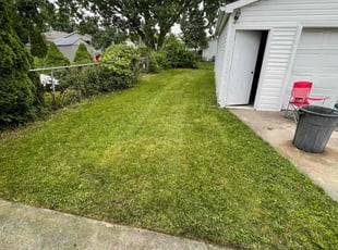 Lisa S.'s Lawn Mowing service result