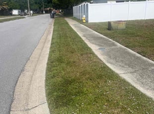Malissia S.'s Lawn Service service result