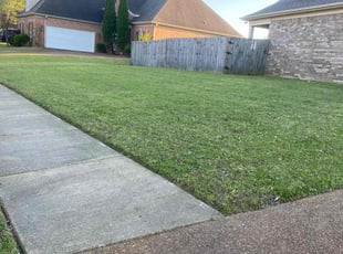 Sue D.'s Yard Cutting service result