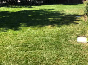 Randy B.'s Lawn Service service result