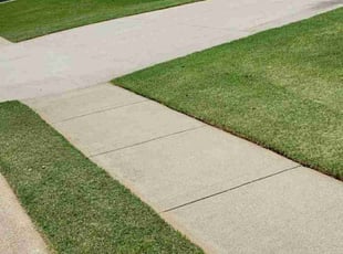 Kassidy A.'s Yard Cutting service result