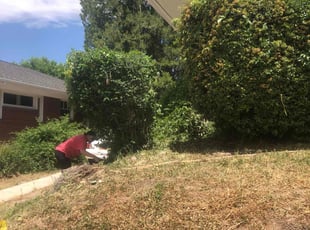 Bush Trimming by David Rordame for Parker B. in Salt Lake City, UT