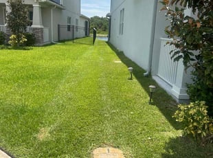 Lisa S.'s Lawn Mowing Service service result