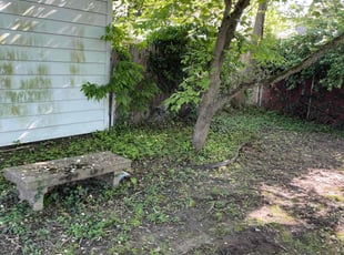 Weeding by Kenneth Lagger for Roy B. in Toledo, OH