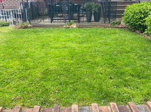Jesse W.'s Lawn Service service result