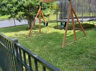 Scarlett M.'s Lawn Mowing service result