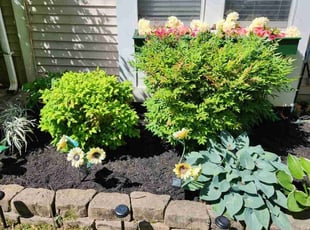 Weeding by Mark Burke for Stephanie D. in Centreville, VA