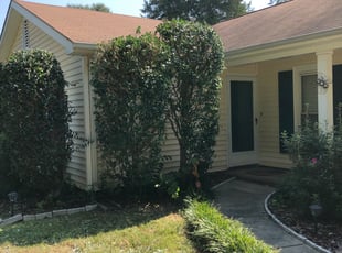 Bush Trimming by Caleb Beckstein for Rima P. in Charlotte, NC