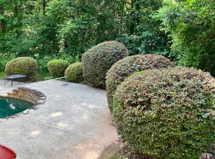 Bush Trimming by Marc Yero for Troy T. in Powder Springs, GA