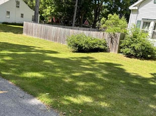 Lorraine S.'s Lawn Mowing service result