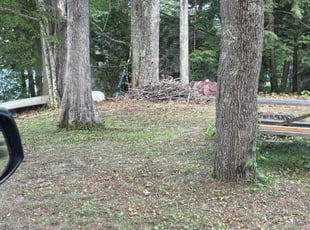Leaf Removal by Tyler Ross for Randal B. in Sanford, ME