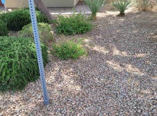 Leaf Removal by Leland Floyd for Edgar V. in Las Vegas, NV