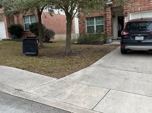 Leaf Removal by Aldo Mancha for Karen C. in San Antonio, Tx