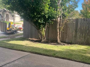 Bush Trimming by Noah Fiechtner for Jeffrey S. in Austin, TX