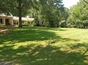 Adrian B.'s Lawn Service service result