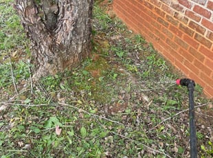 Weeding by Lakin Duffy for SaDonna C. in Hampton, GA