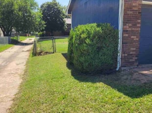 Bush Trimming by Kenneth Scarpelli for Megan R. in Goddard, KS