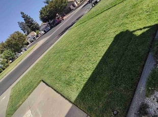 Rozella M.'s Lawn Mowing Service service result