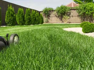 Pamela H.'s Lawn Service service result
