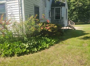 Bush Trimming by Chris Lee for Jessica S. in Dover, NH