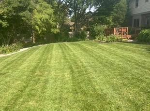 Amanda S.'s Lawn Mowing Service service result